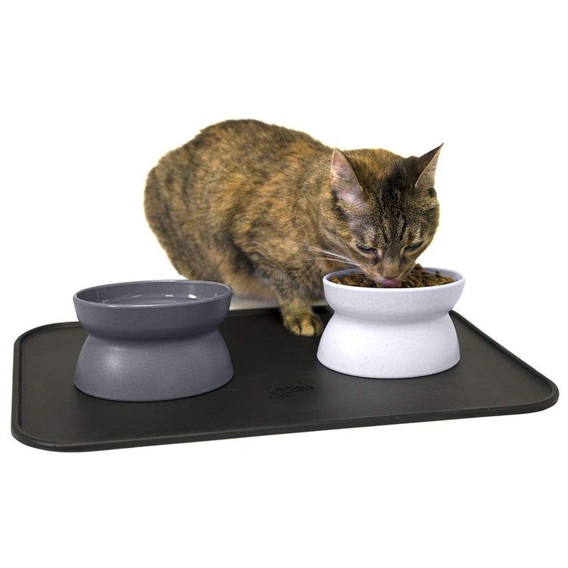Kitty City Raised Cat Food Bowl Collection/Stress Free Pet Feeder and Waterer and Slow Feed Bowls - Image 1